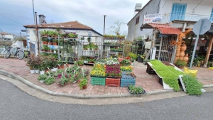 Dzień pierwszy w Grecji
- na targu w Leptokarii