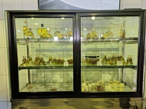 Dzień piąty w Grecji
 - wycieczka 
do rodzinnych fabryk