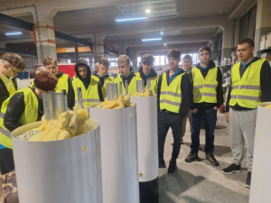 Dzień Jedenasty 
w Grecji 
 - praktyki