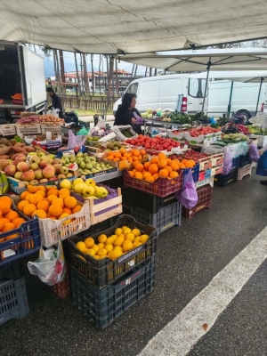 Dzień pierwszy w Grecji
- na targu w Leptokarii