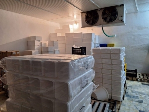 Dzień piąty w Grecji
 - wycieczka 
do rodzinnych fabryk