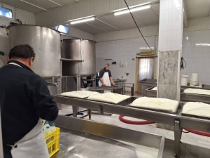 Dzień piąty w Grecji
 - wycieczka 
do rodzinnych fabryk