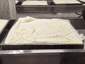 Dzień piąty w Grecji
 - wycieczka 
do rodzinnych fabryk