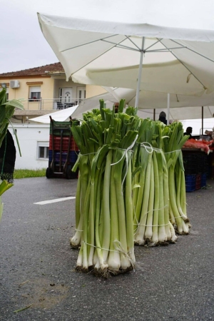 Dzień pierwszy w Grecji
- na targu w Leptokarii