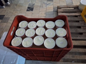 Dzień piąty w Grecji
 - wycieczka 
do rodzinnych fabryk